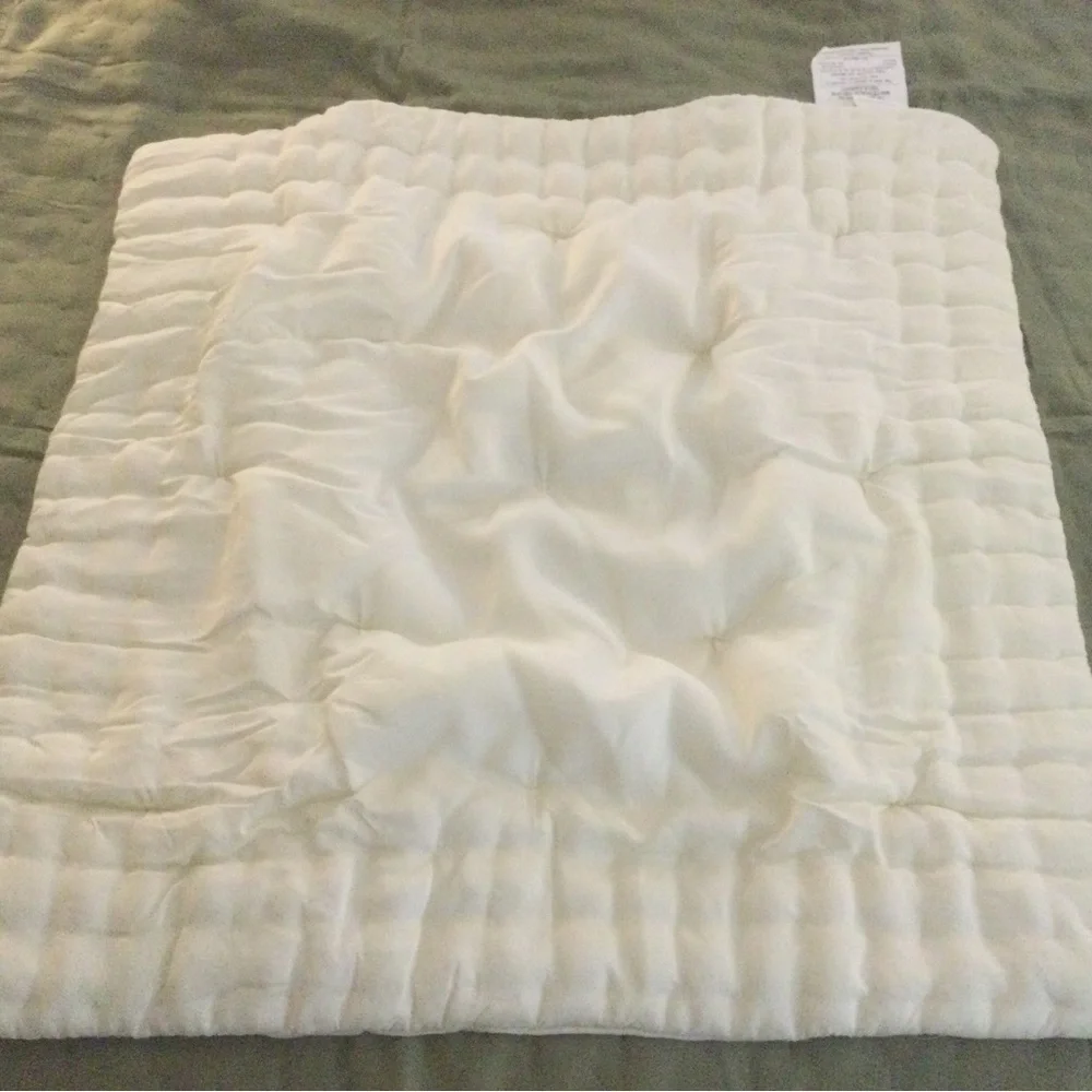 Pottery Barn Ivory Silk Euro Pillow Sham